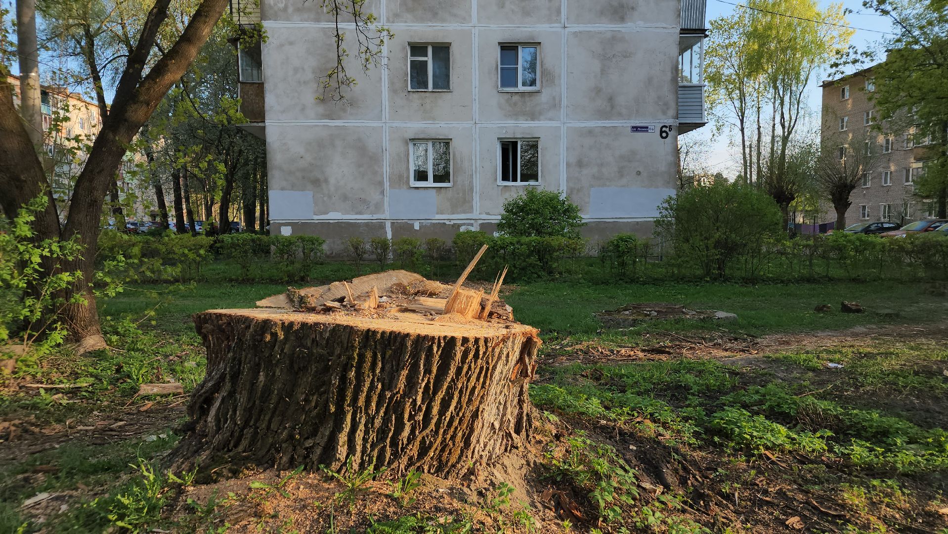 выездная администрация, ликино-дулево, орехово-зуевский округ,