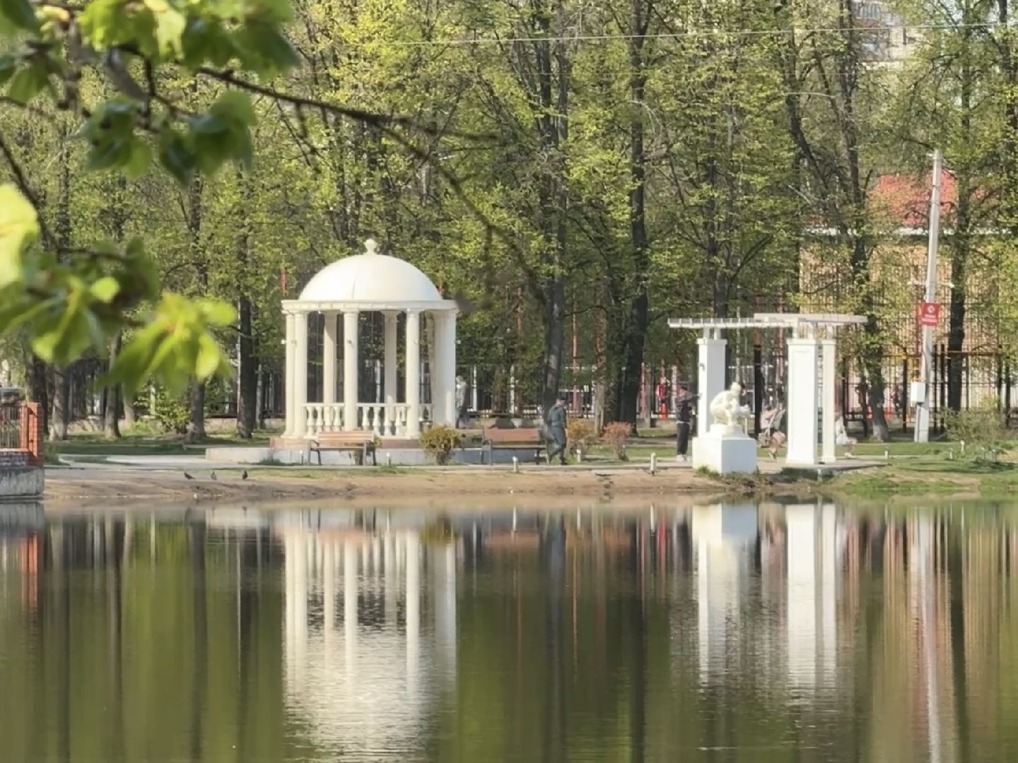 раменское, озеро пионер, черепахи,