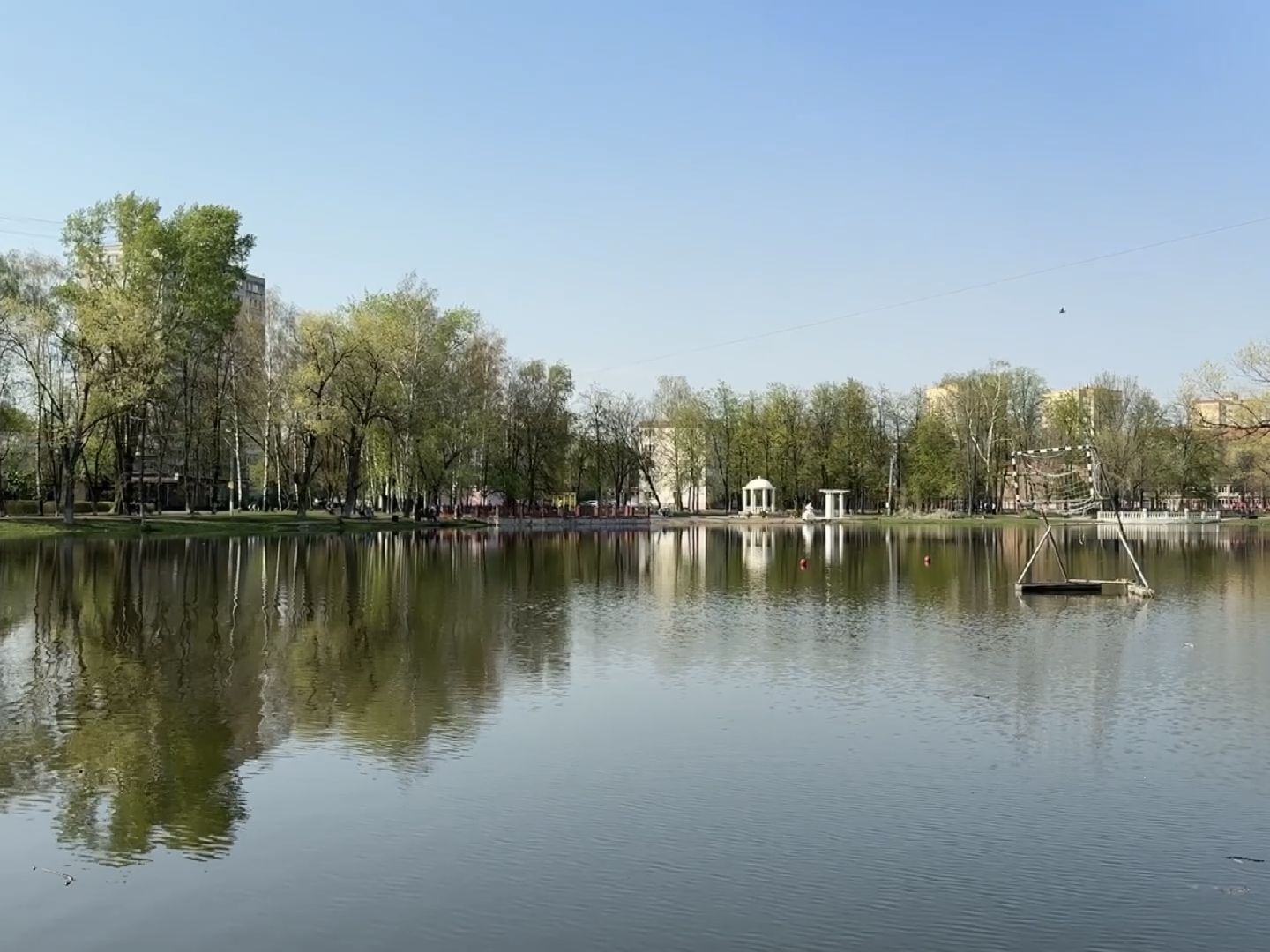 раменское, озеро пионер, черепахи,