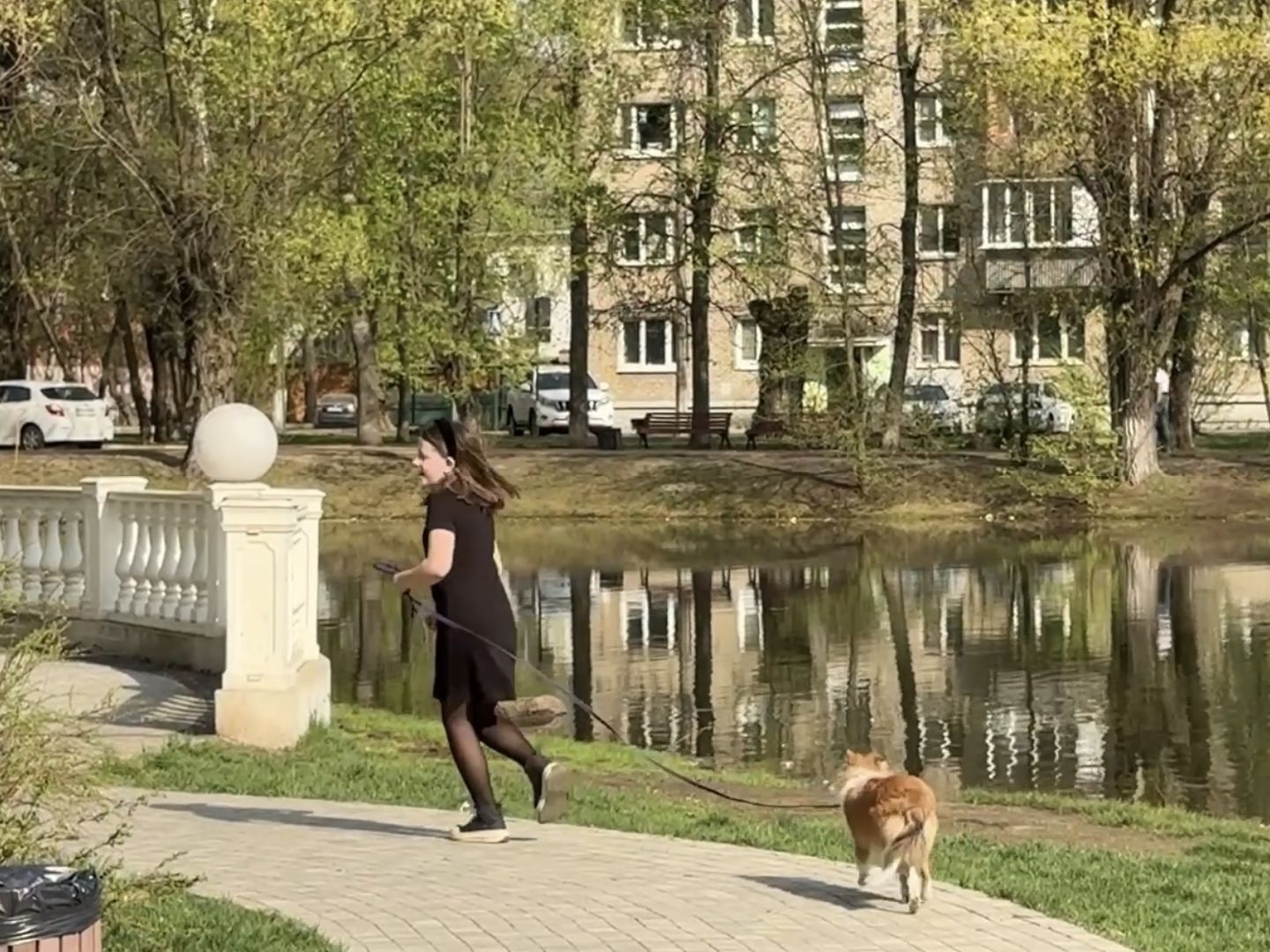 раменское, озеро пионер, черепахи,