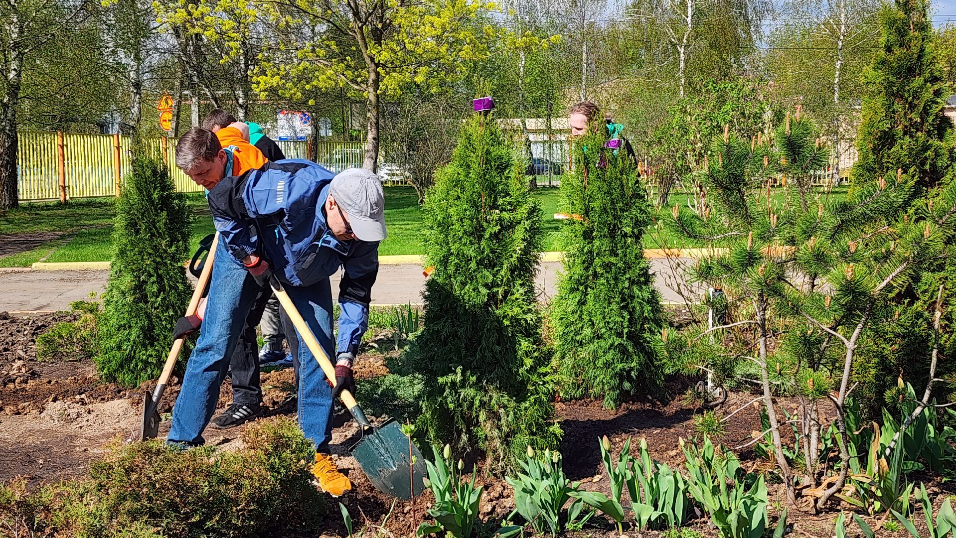 высадка деревьев, экологическая акция, Лобня,