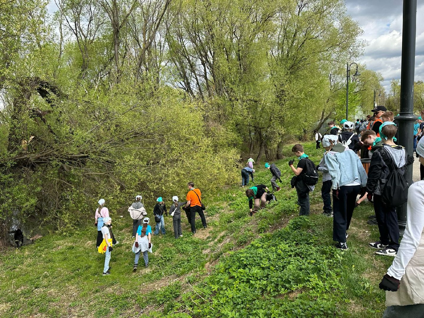 высадка деревьев, экологическая акция, Лобня,