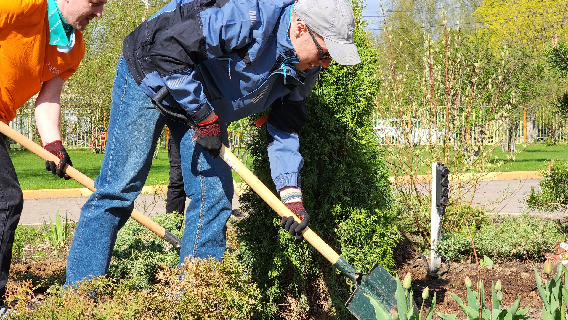 высадка деревьев, экологическая акция, Лобня,