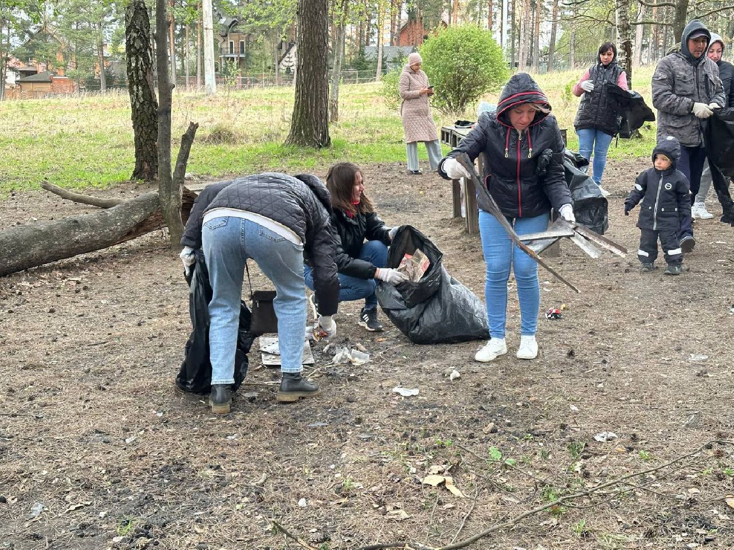субботник, домодедово,