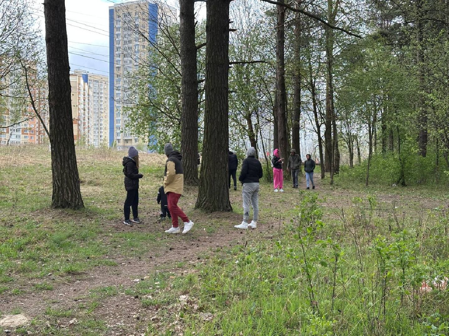 субботник, домодедово,