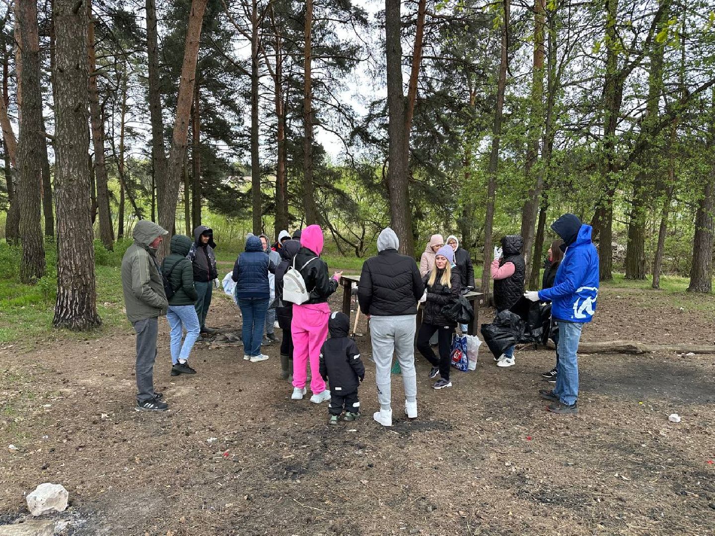 субботник, домодедово,