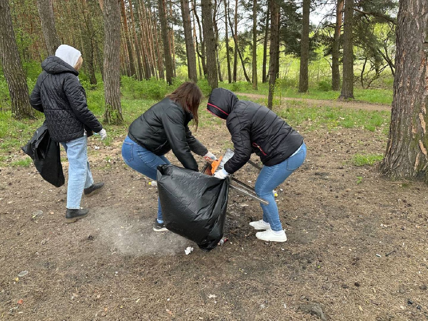 субботник, домодедово,