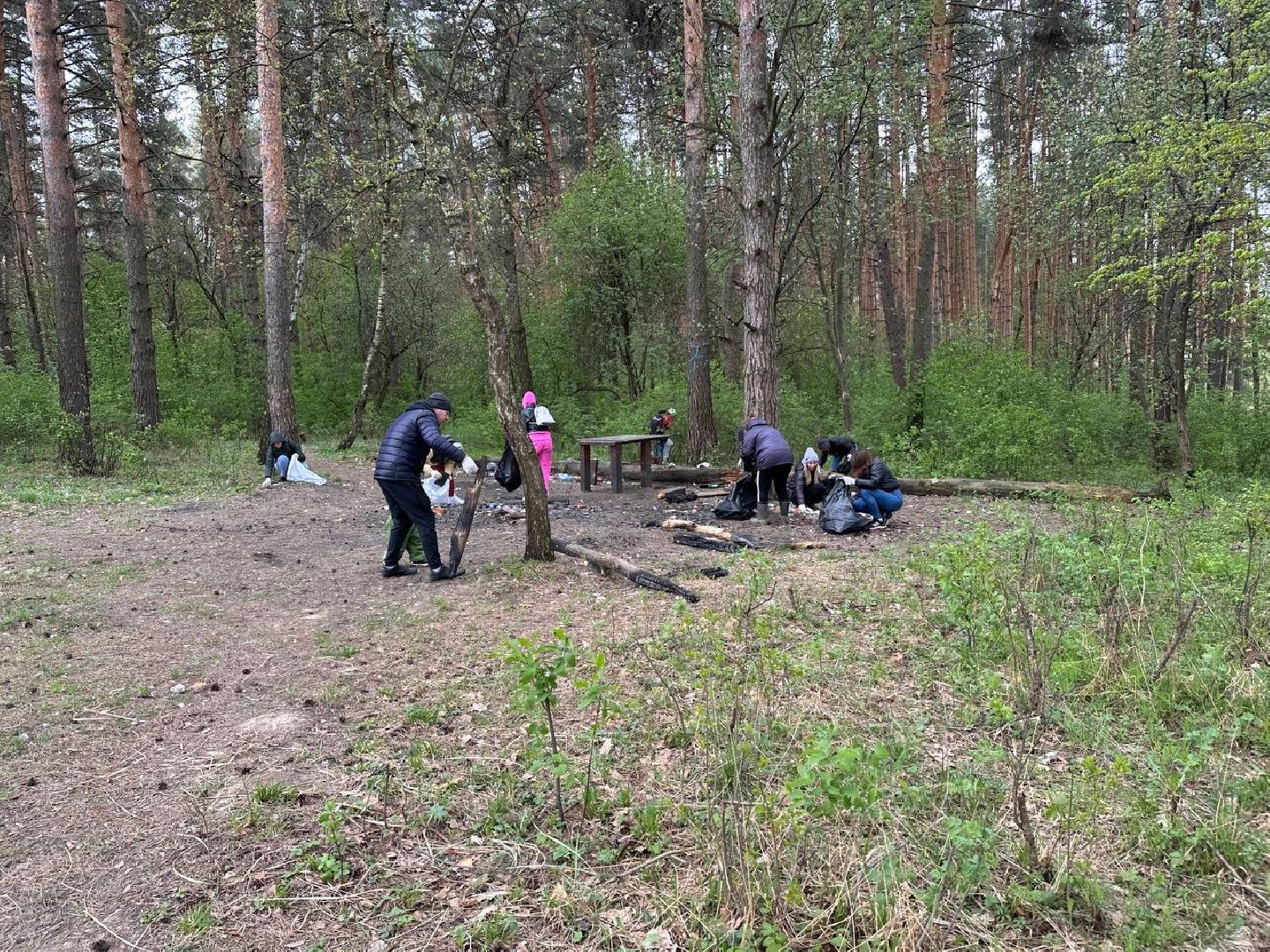 субботник, домодедово,