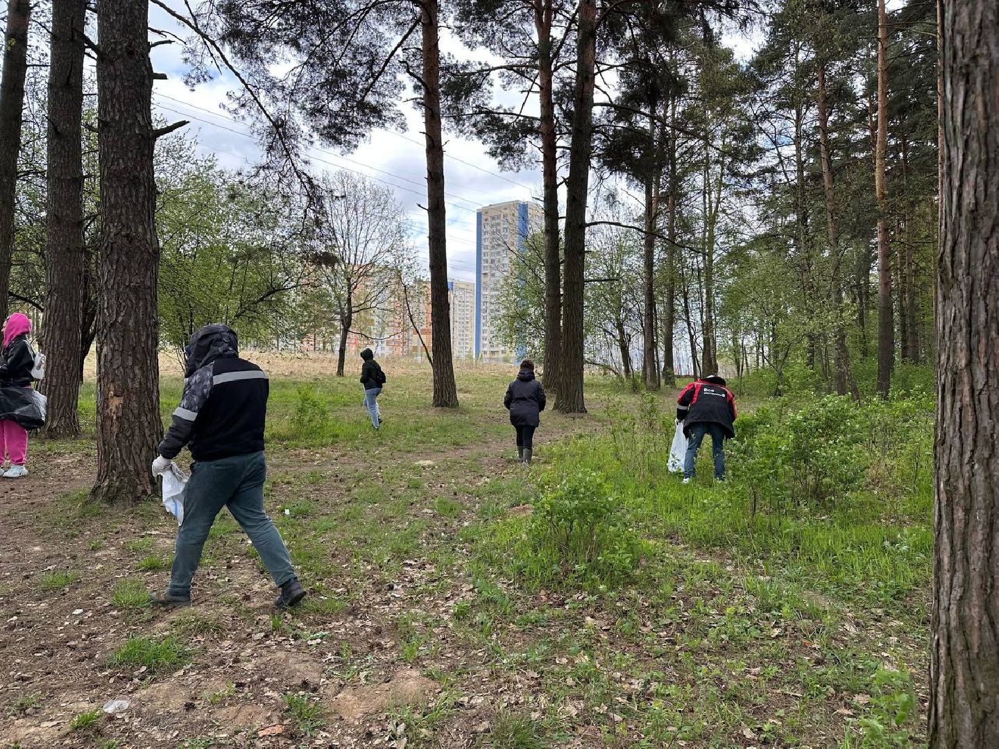 субботник, домодедово,