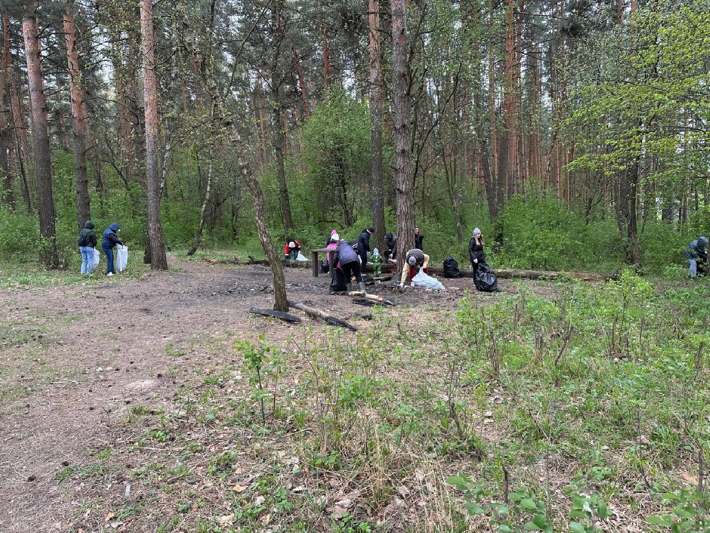 субботник, домодедово,