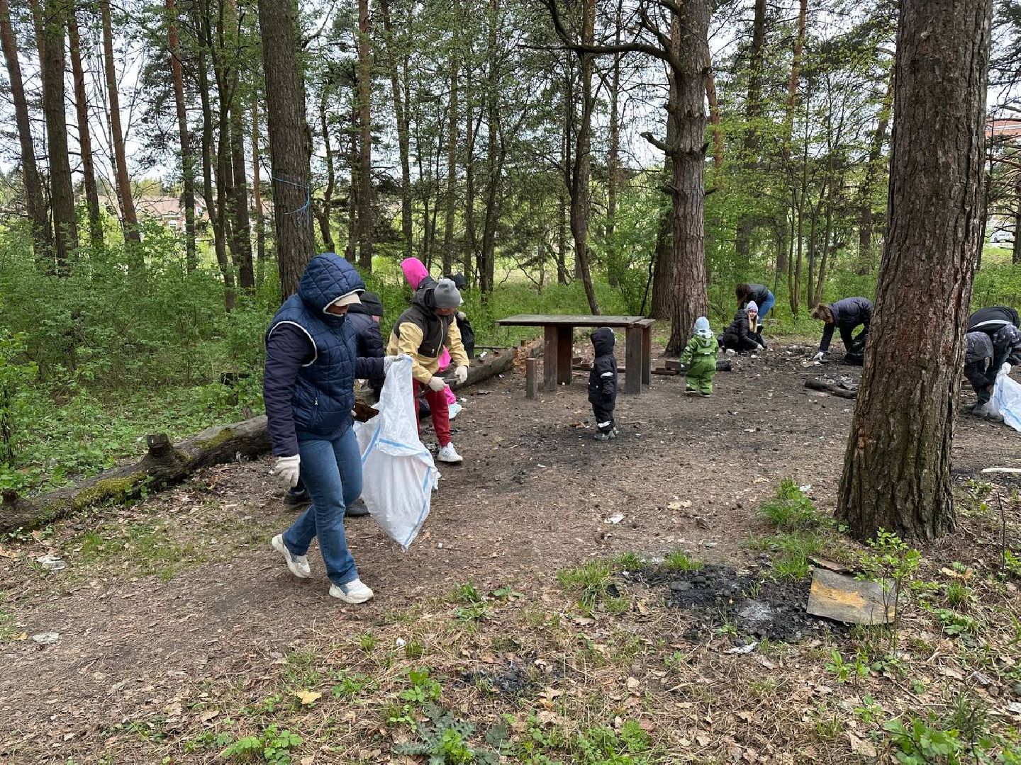 субботник, домодедово,