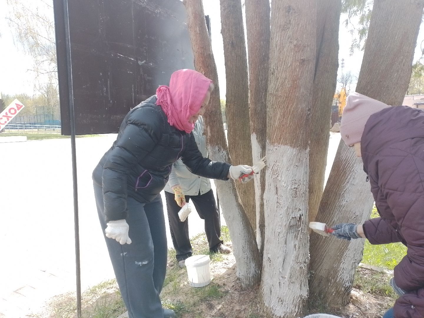 городской округ восход, благоустройство, субботник, всероссийский субботник,