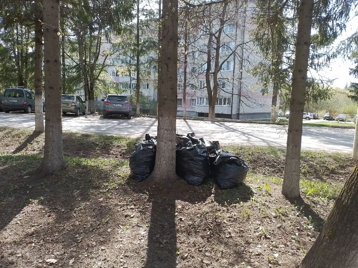 городской округ восход, благоустройство, субботник, всероссийский субботник,