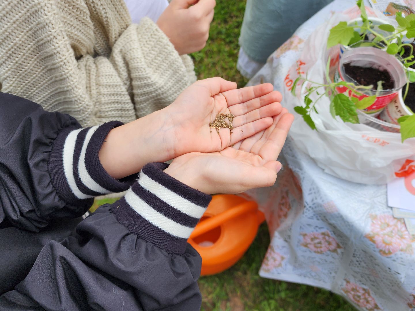 сергиев посад, дк октябрь, экология, общественный огород,