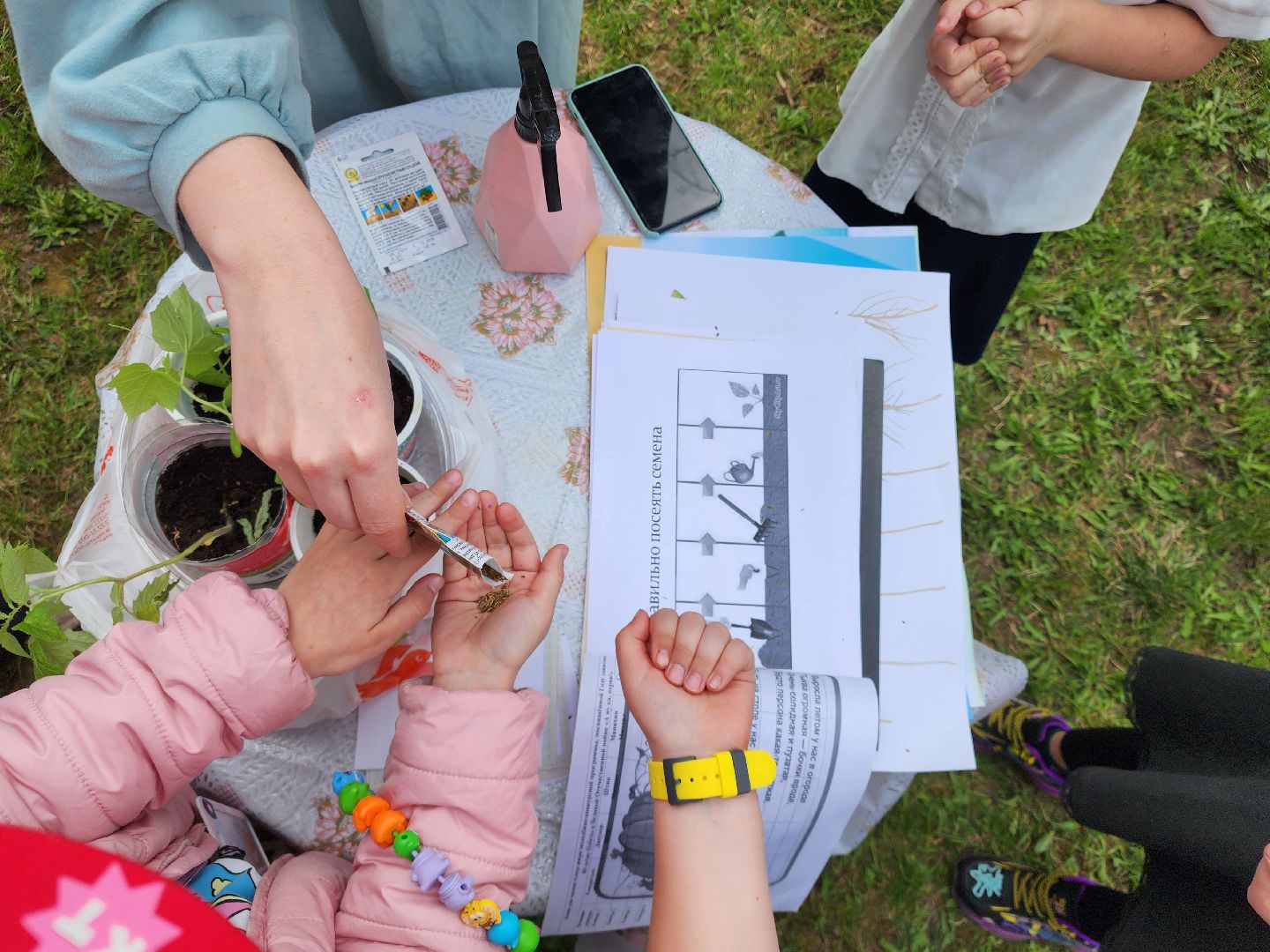 сергиев посад, дк октябрь, экология, общественный огород,