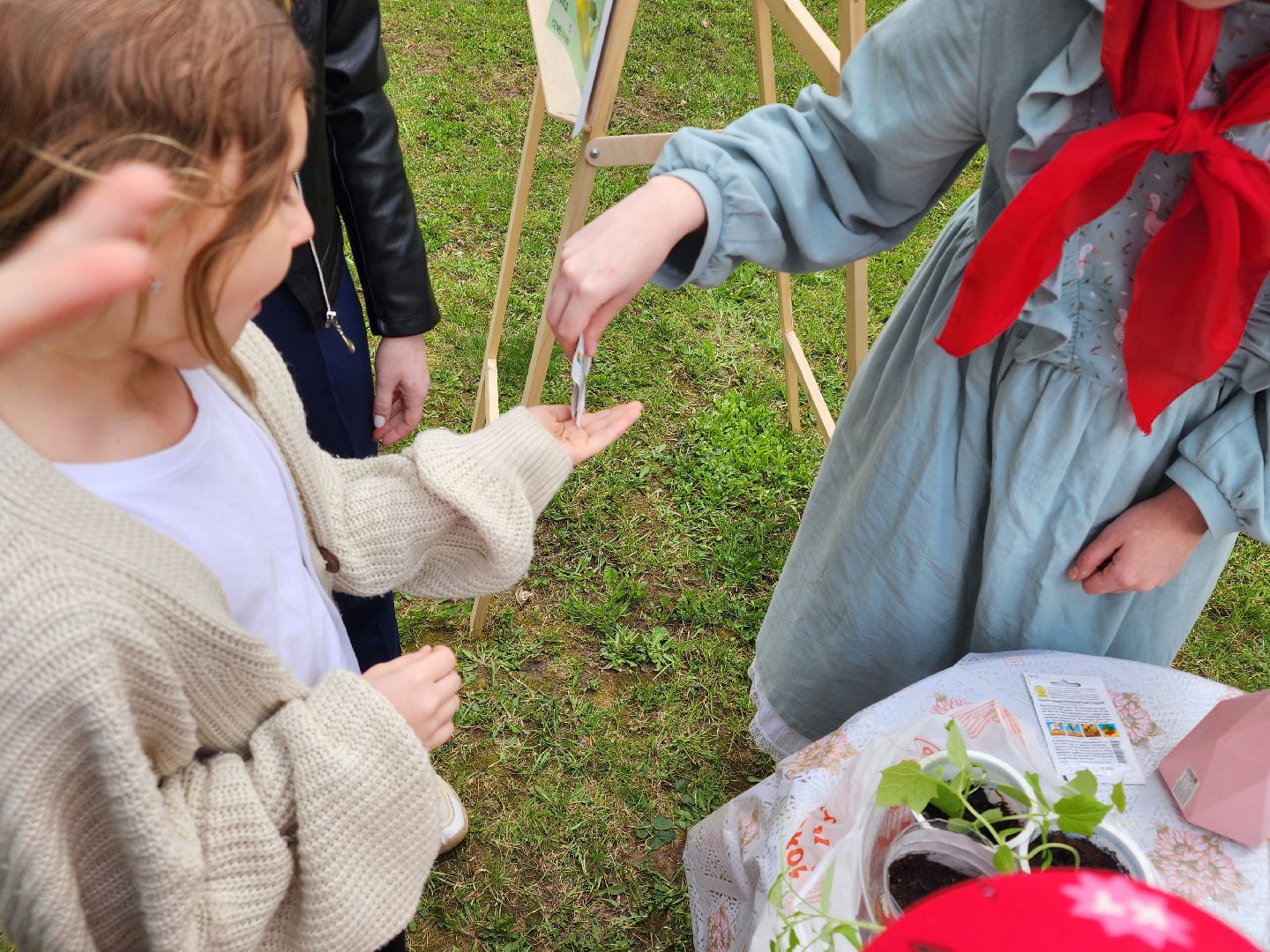 сергиев посад, дк октябрь, экология, общественный огород,