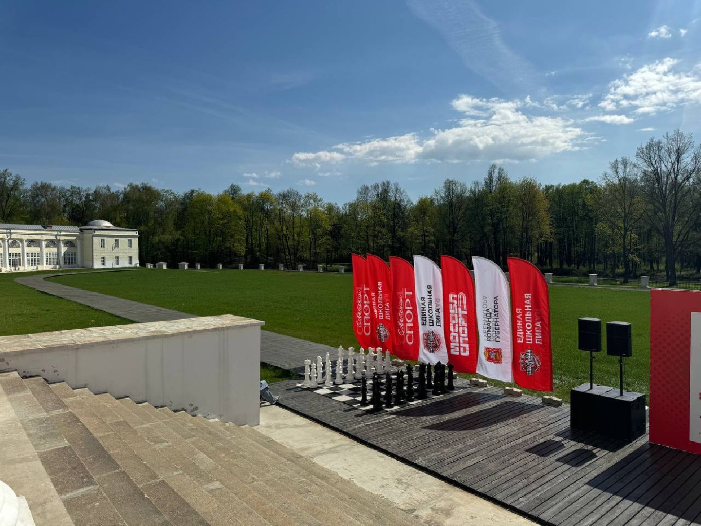 ешл, шахматы, финал, усадьба горенки,