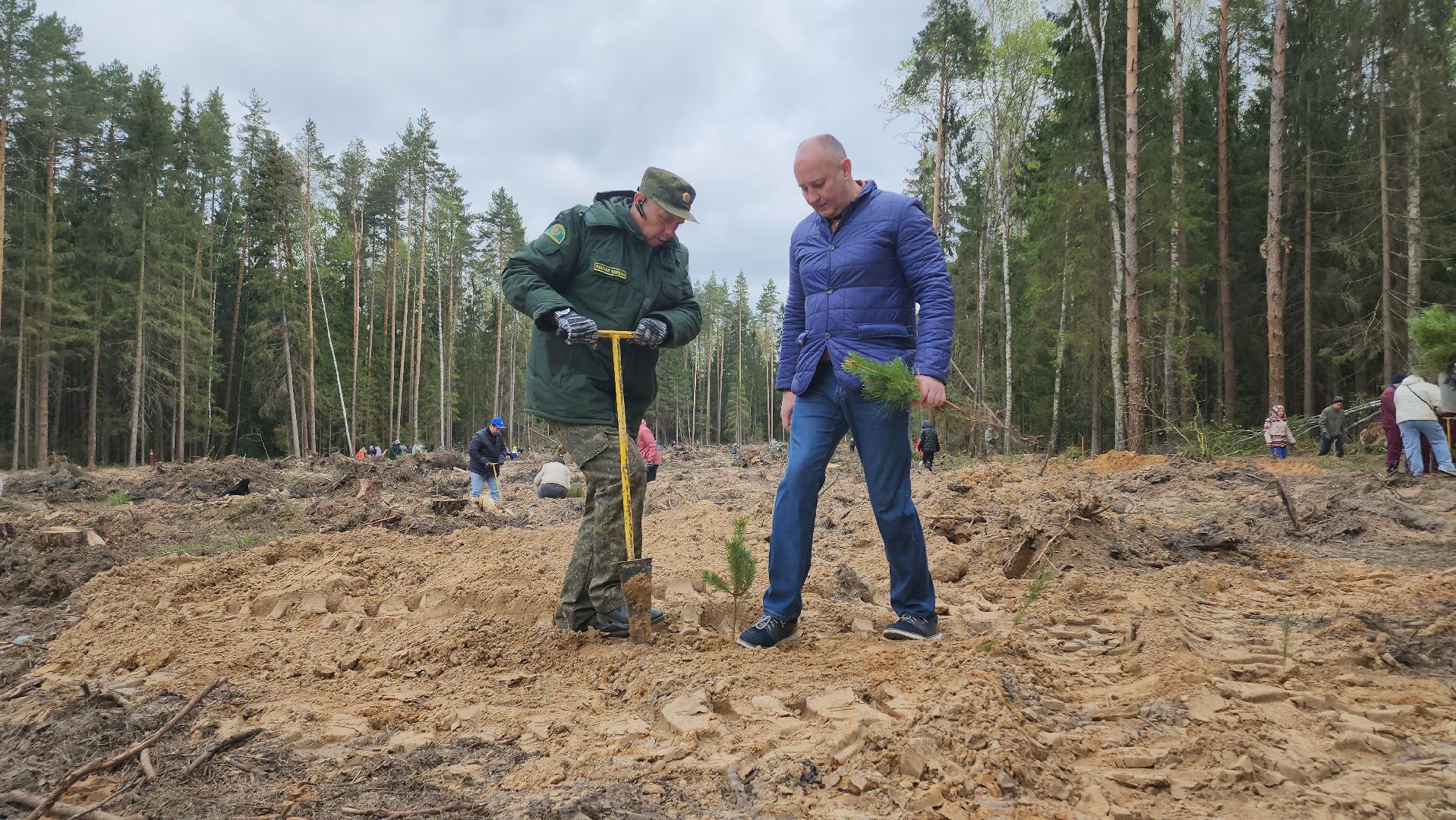 Егорьевск, Подмосковье, Московская область,