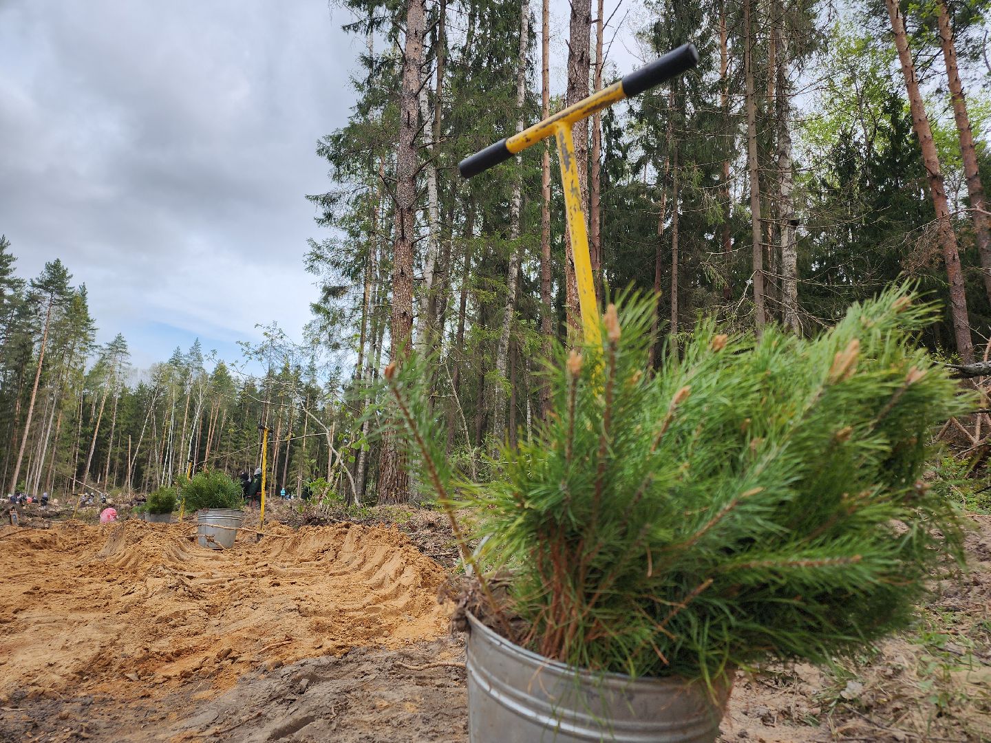 Егорьевск, Подмосковье, Московская область,