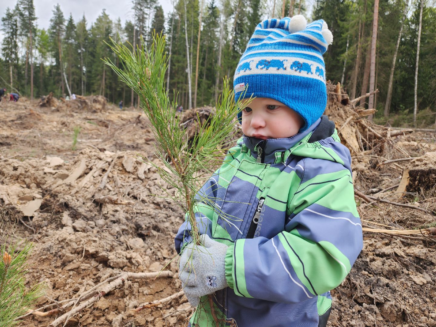 Егорьевск, Подмосковье, Московская область,