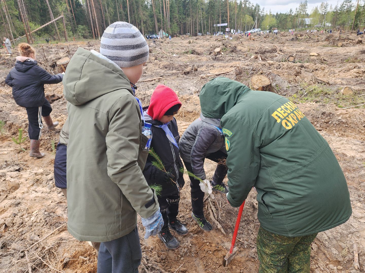 Егорьевск, Подмосковье, Московская область,