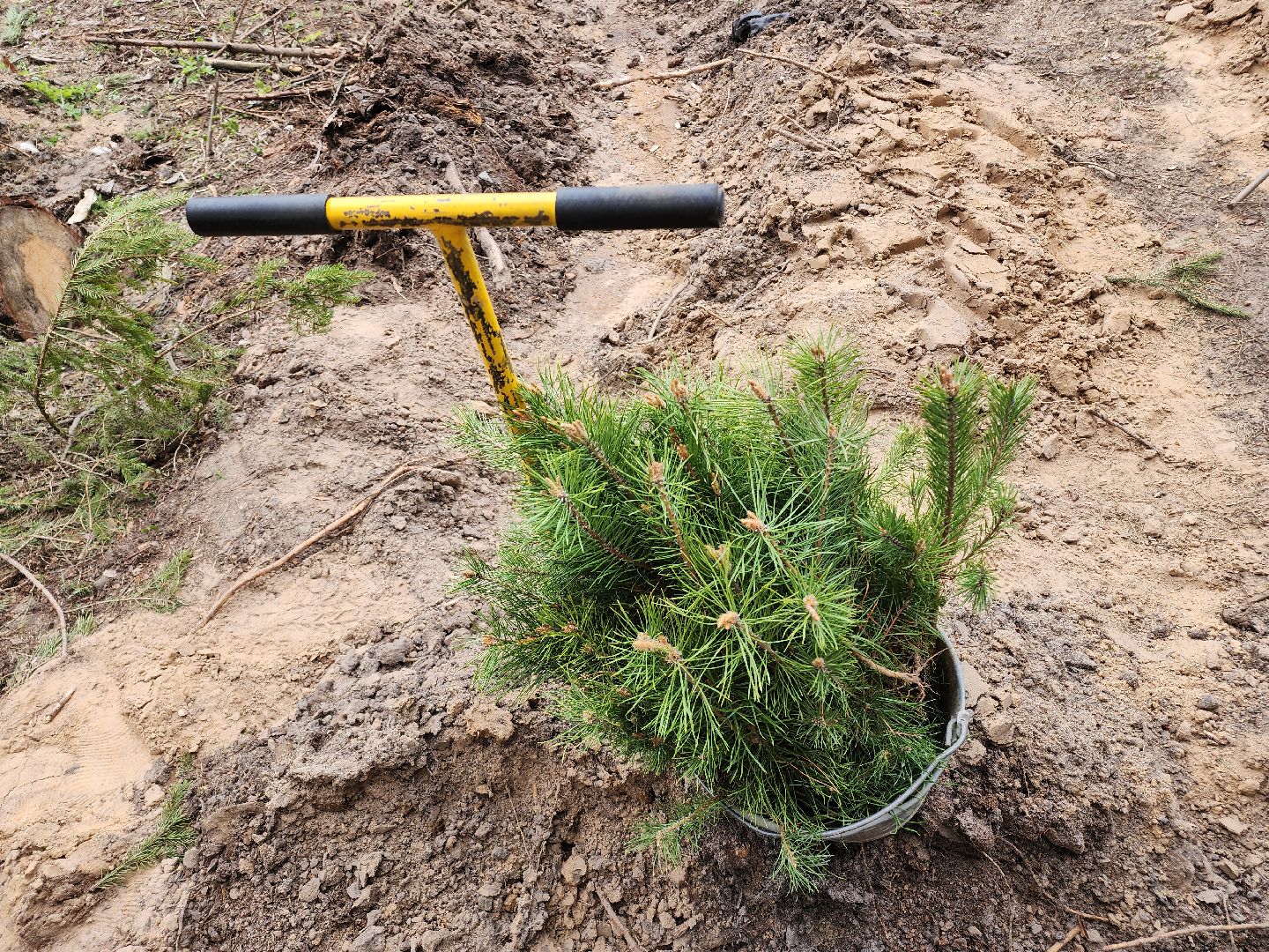 Егорьевск, Подмосковье, Московская область,