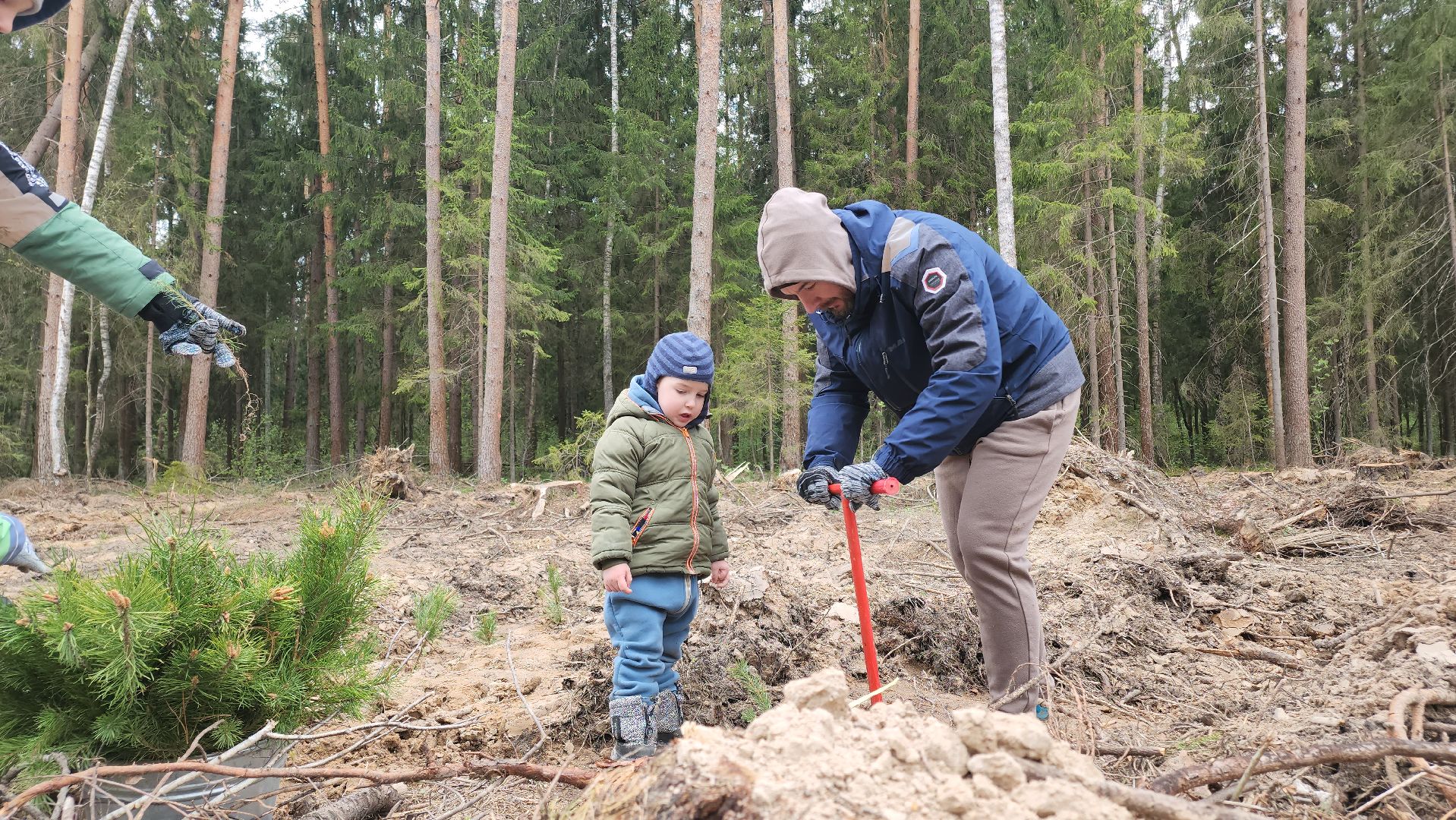 Егорьевск, Подмосковье, Московская область,
