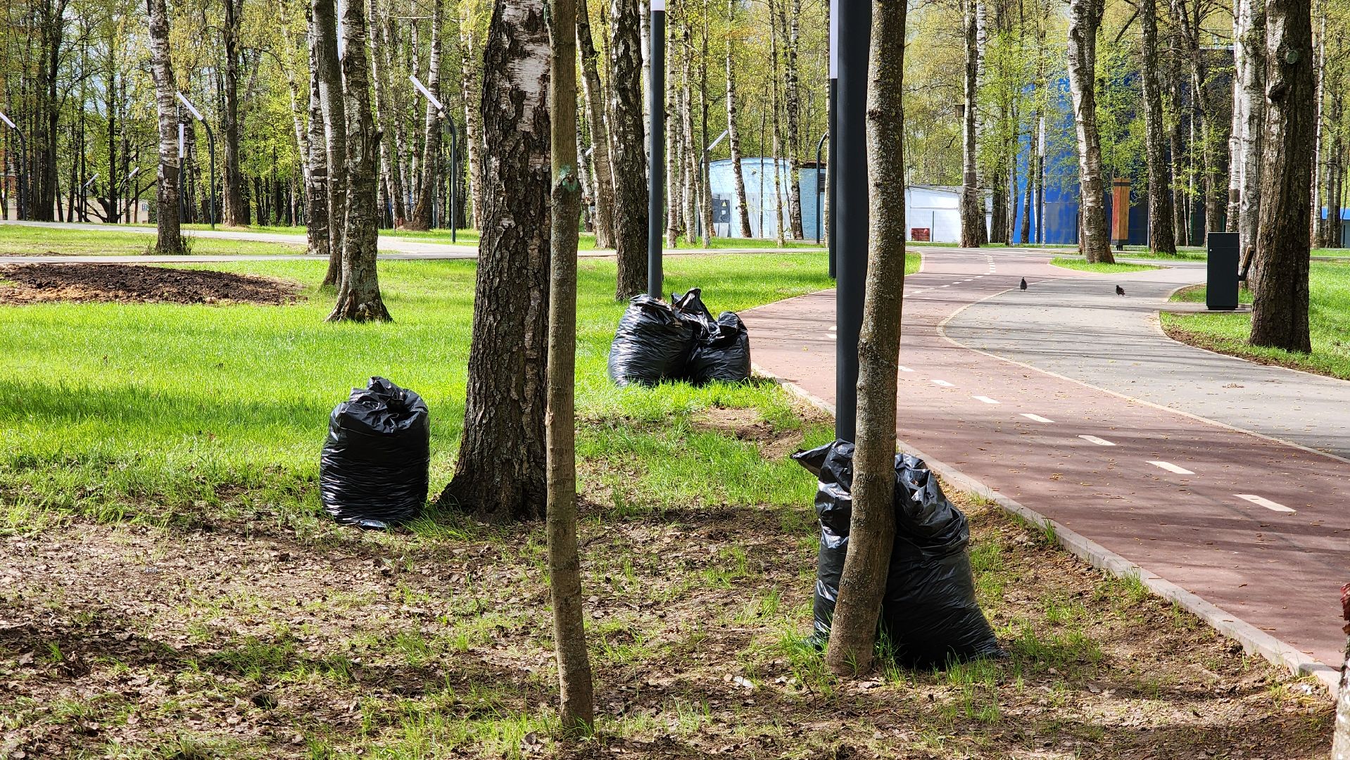 Субботник , Лобня, Центральный парк ,