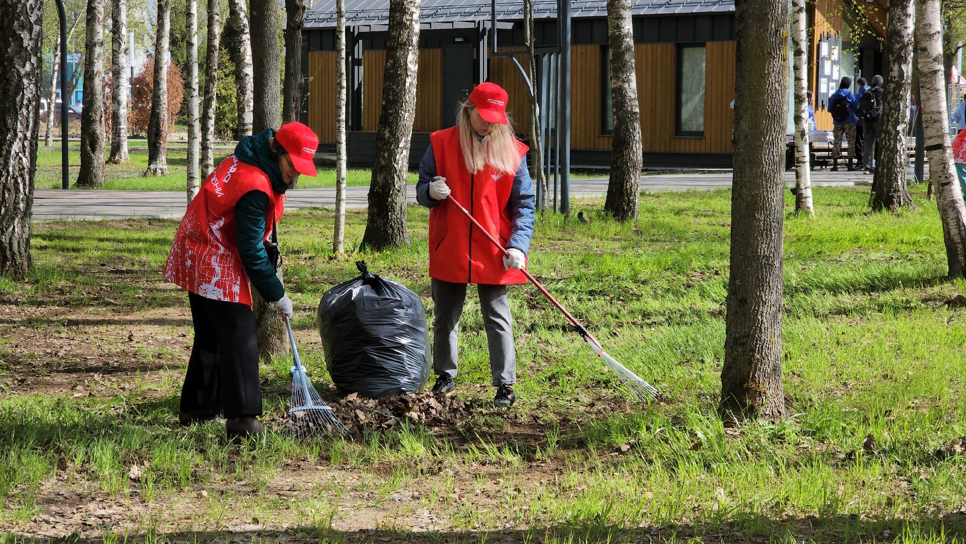 Субботник , Лобня, Центральный парк ,