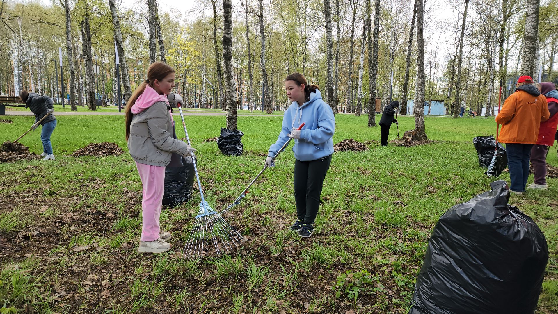 Субботник , Лобня, Центральный парк ,