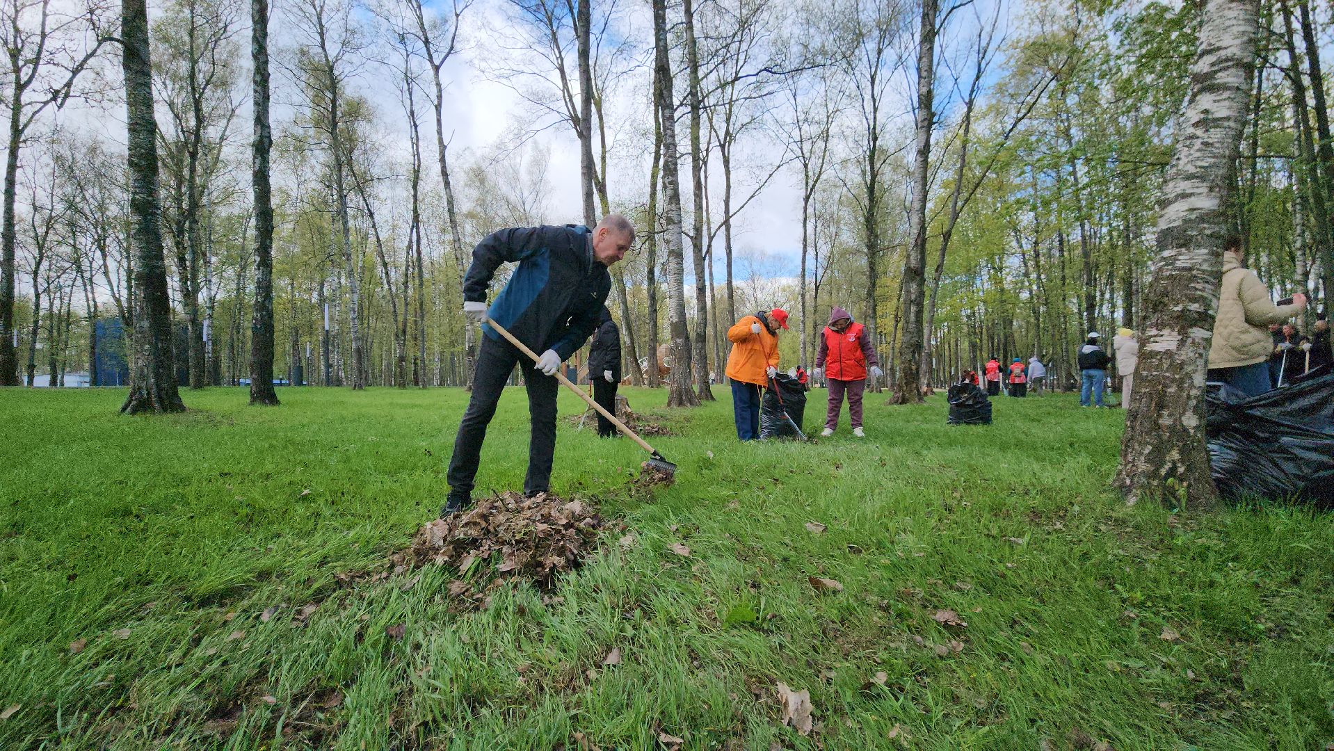Субботник , Лобня, Центральный парк ,