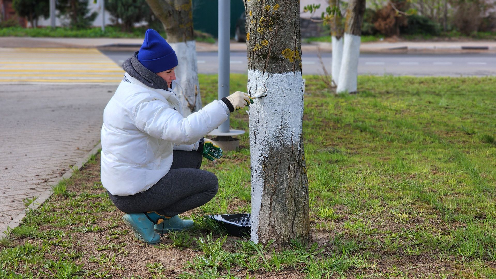 волоколамск, всероссийский субботник,