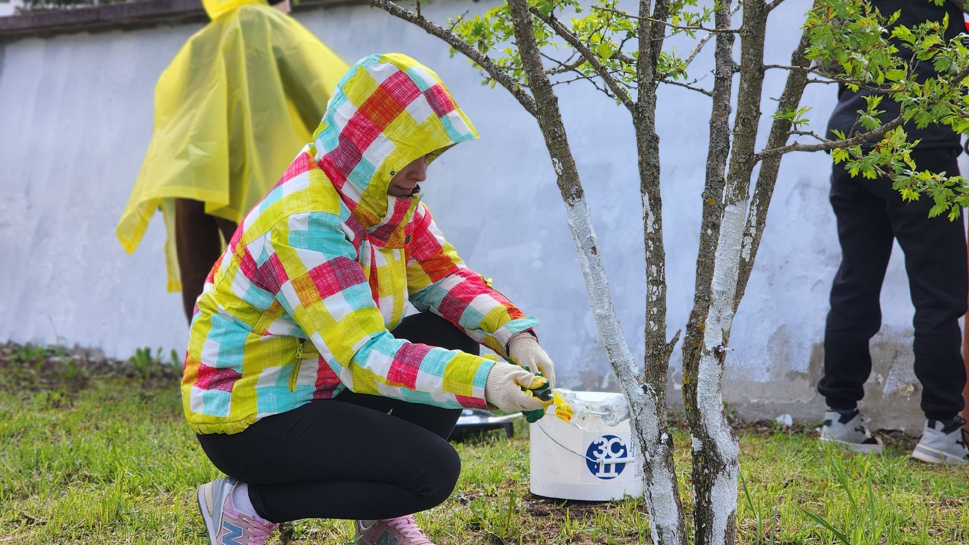волоколамск, всероссийский субботник,