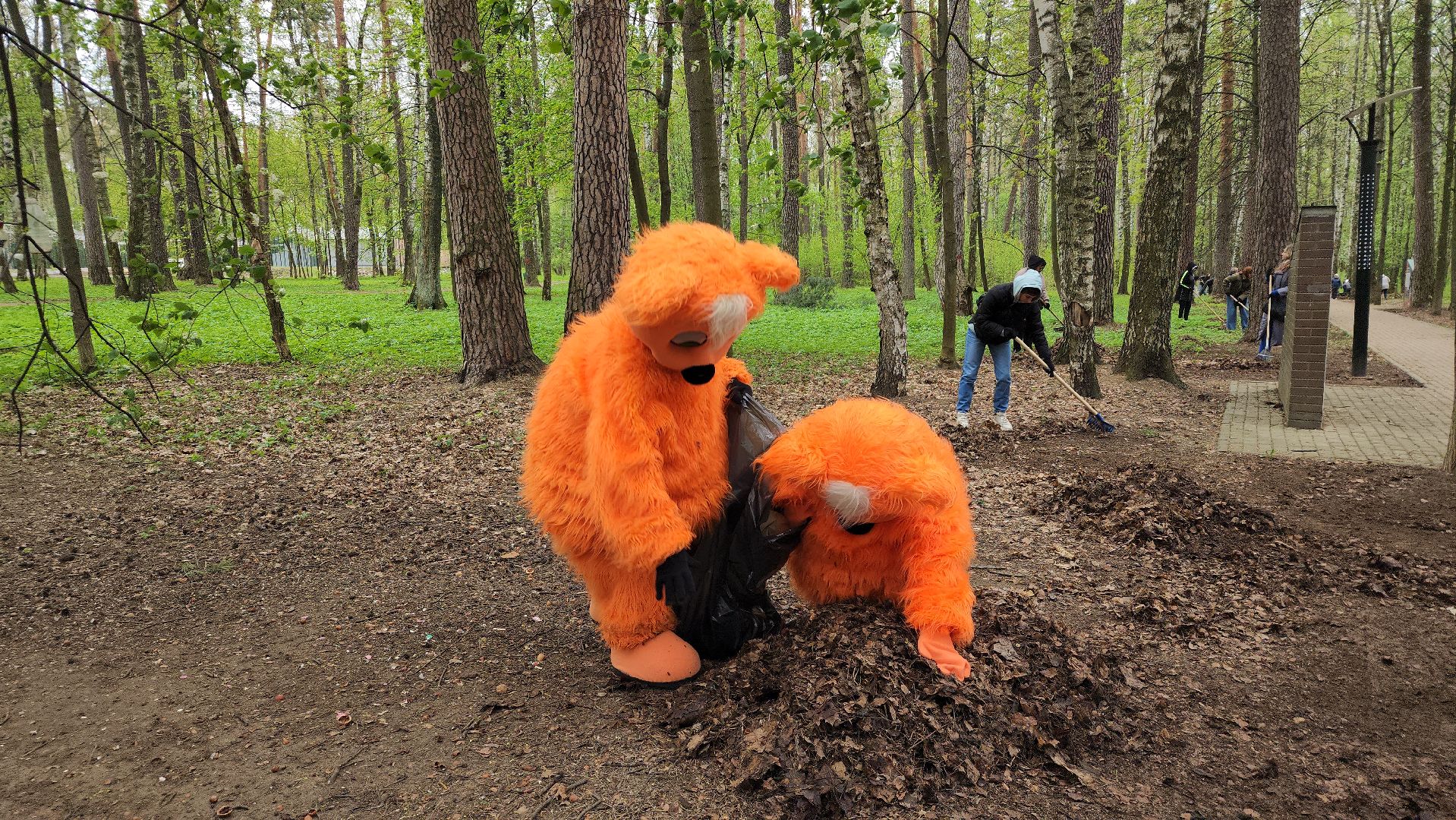 общеобластной субботник, уборка, Центральный парк,Ногинск, Богородский городской округ,