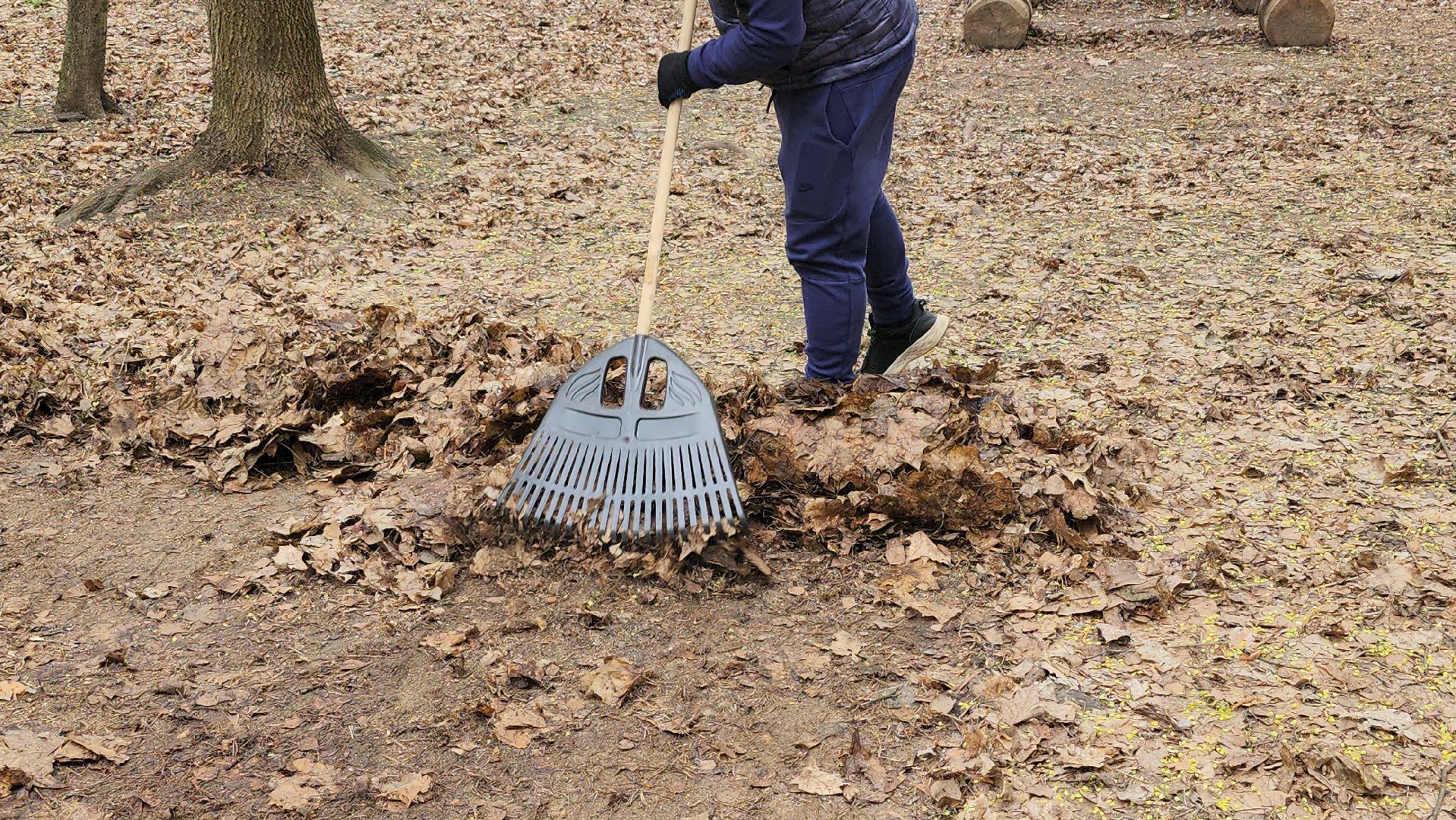 общеобластной субботник, уборка, Центральный парк,Ногинск, Богородский городской округ,