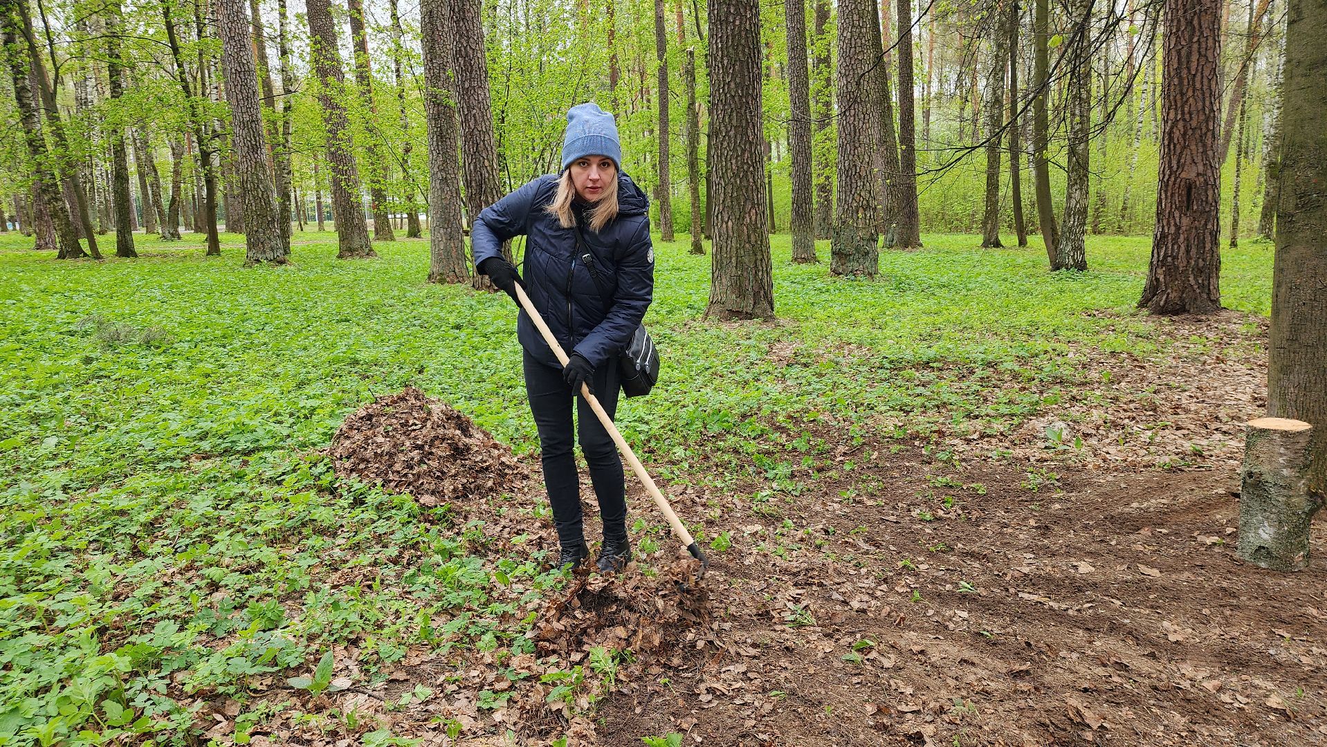общеобластной субботник, уборка, Центральный парк,Ногинск, Богородский городской округ,