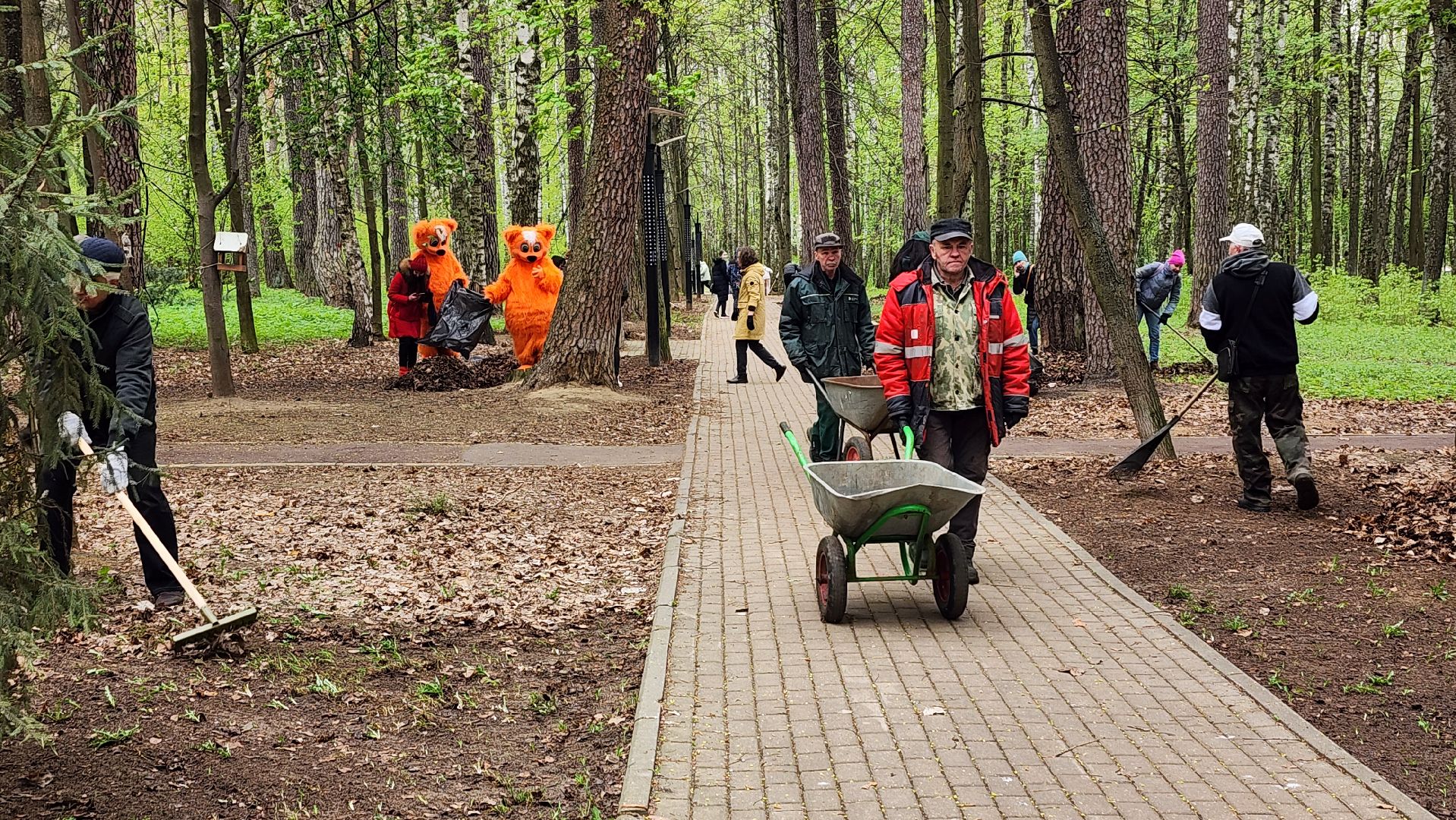 общеобластной субботник, уборка, Центральный парк,Ногинск, Богородский городской округ,