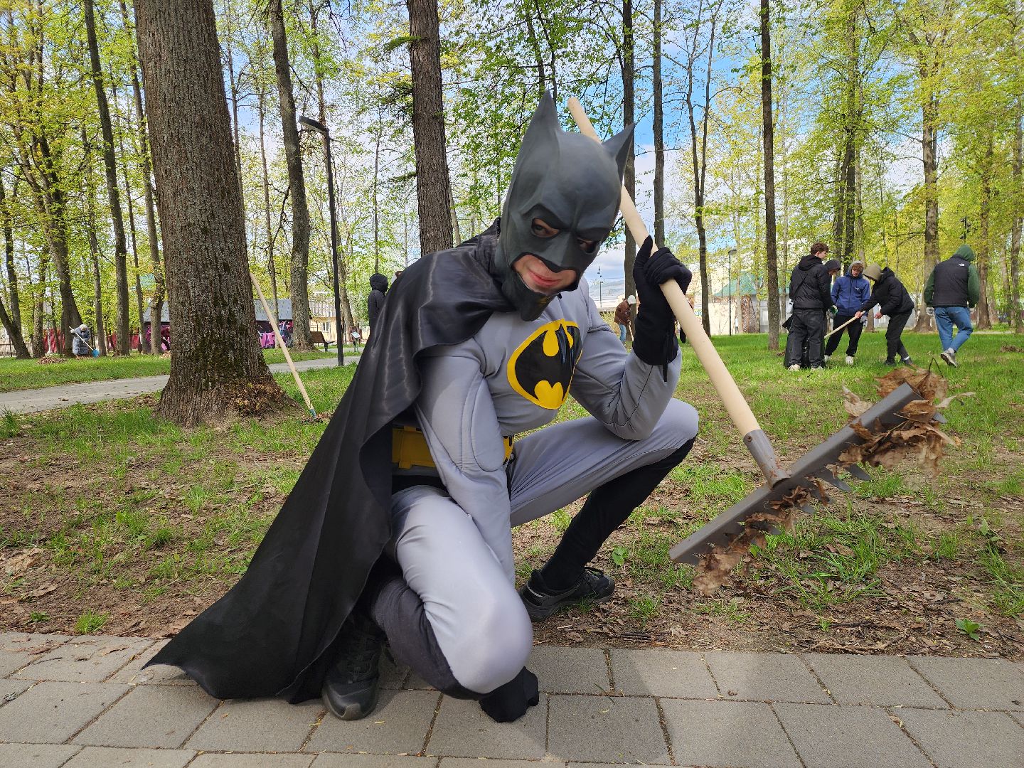 серпухов, подмосковье, областной субботник, бэтмен,