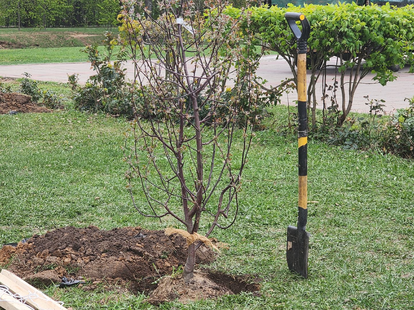 всероссийский субботник в королеве, королёв, мемориал славы в королеве,