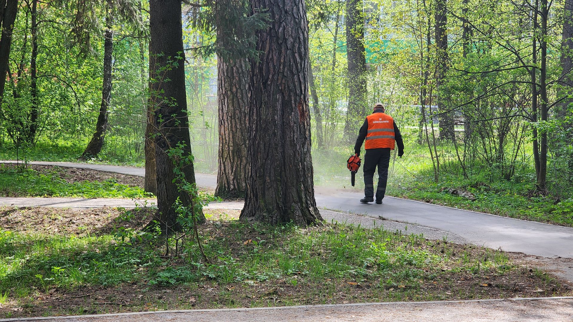 протвино, областной субботник, уборка,