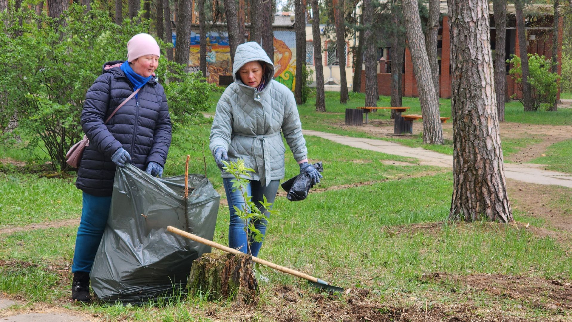 общеобластное мероприятие, областной субботник, протвино,
