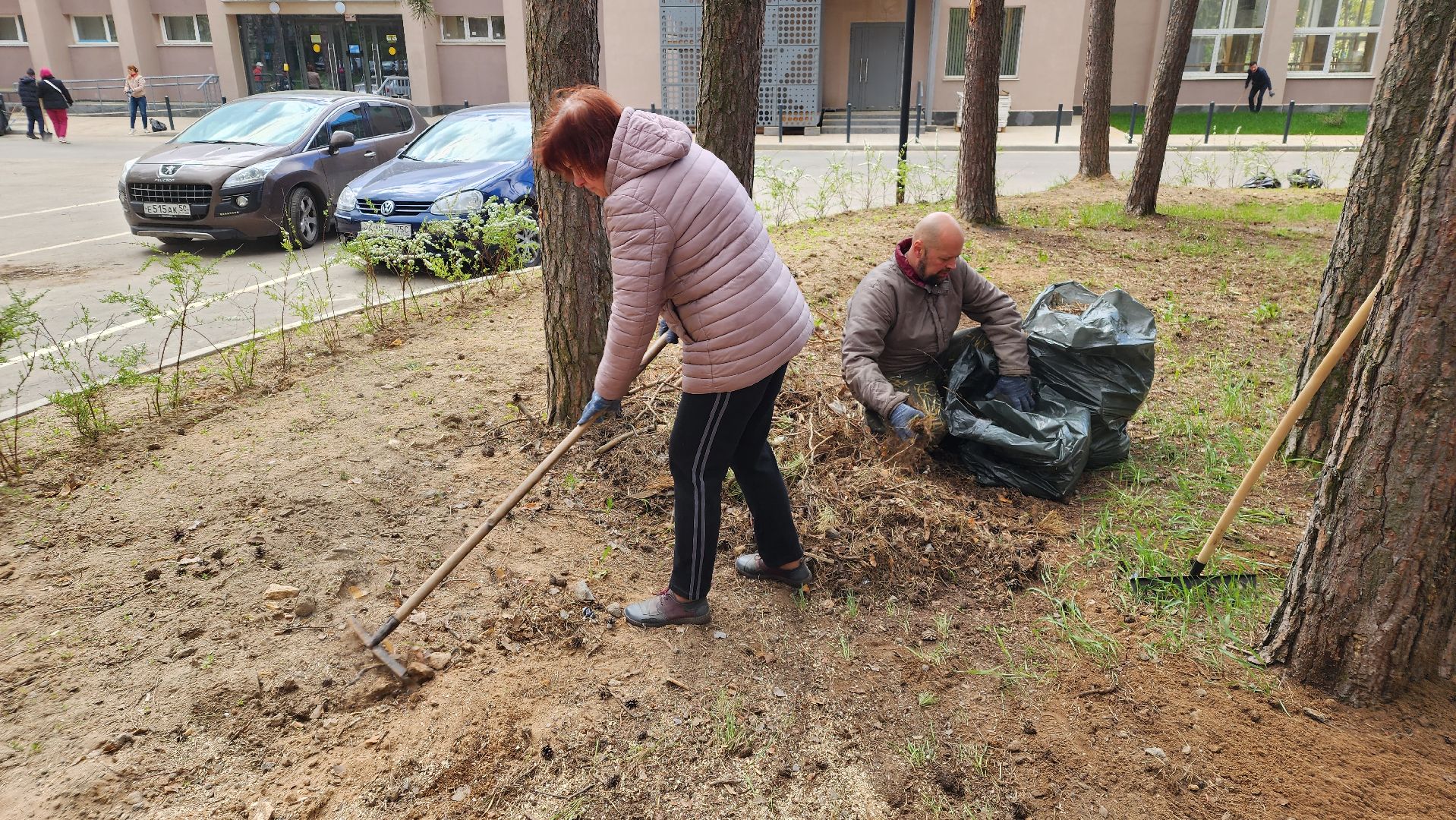общеобластное мероприятие, областной субботник, протвино,