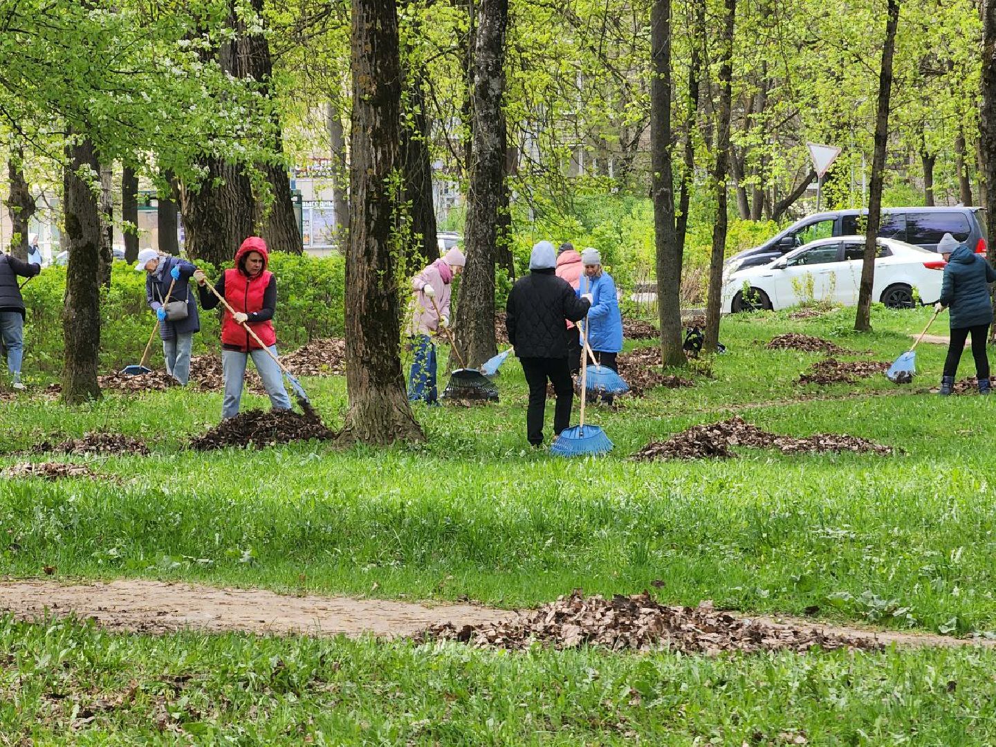 воскресенск, общероссийский субботник, благоустройство,