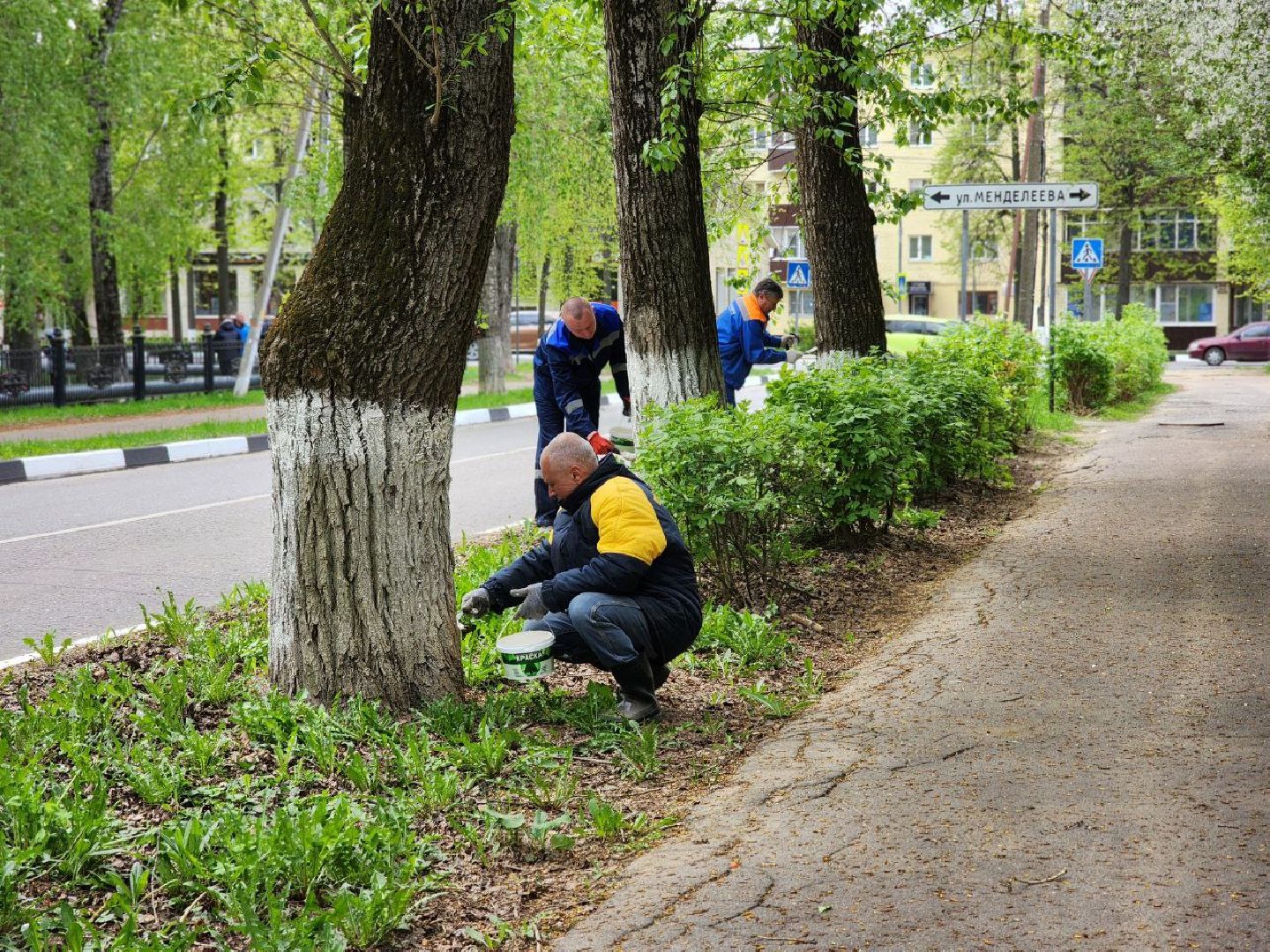 воскресенск, общероссийский субботник, благоустройство,