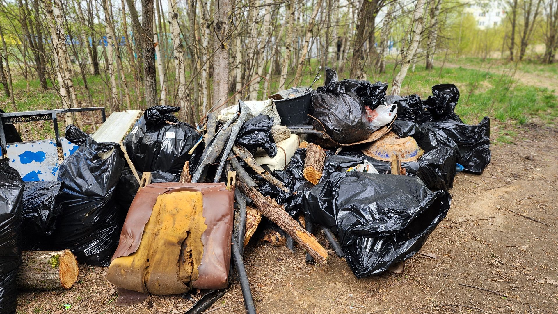 солнечногорск, парк победы, чистые игры, экология,