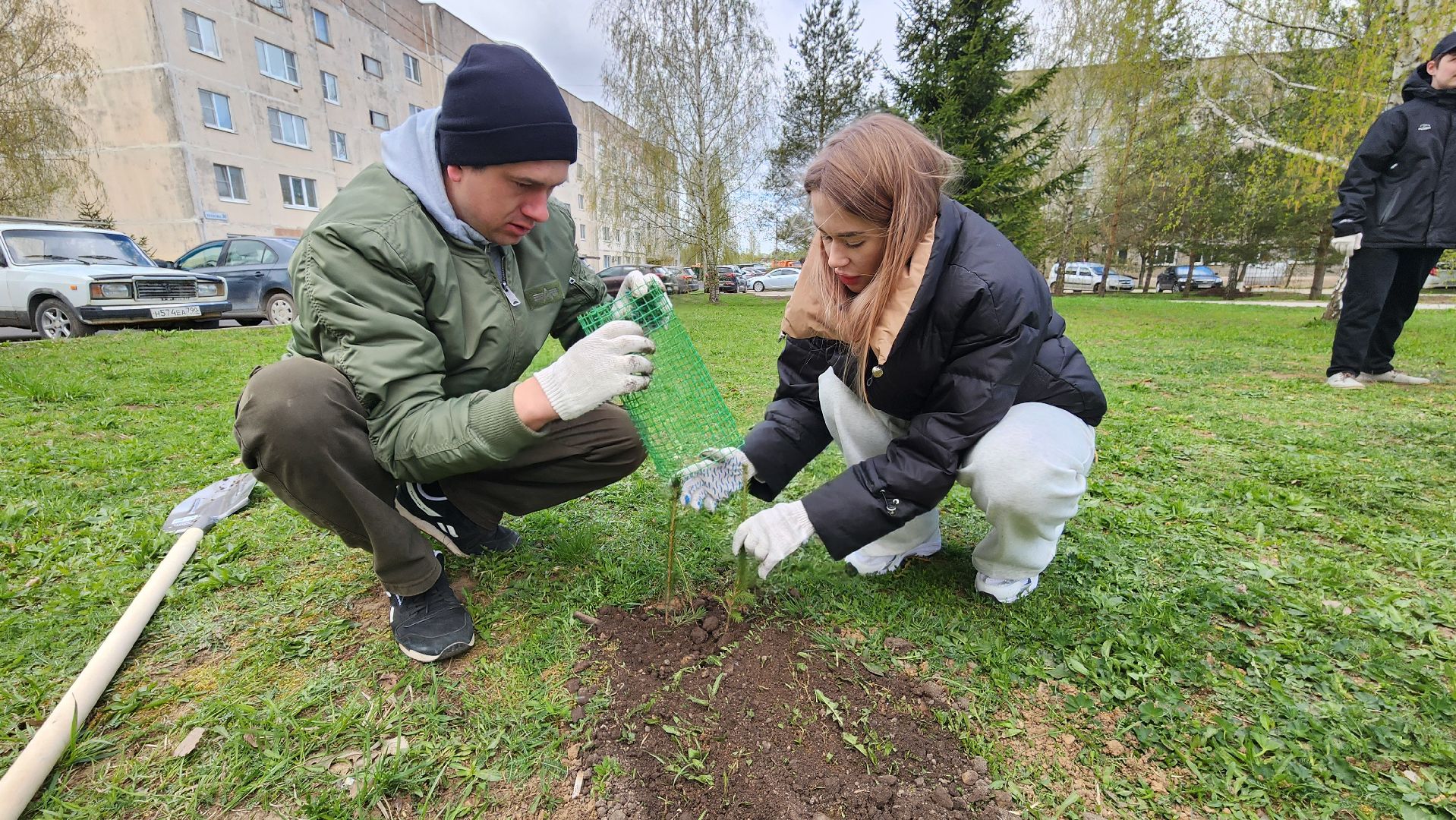 Руза, Посадка кедров, колюбакино,  сквер солнышко, всероссийский субботник,