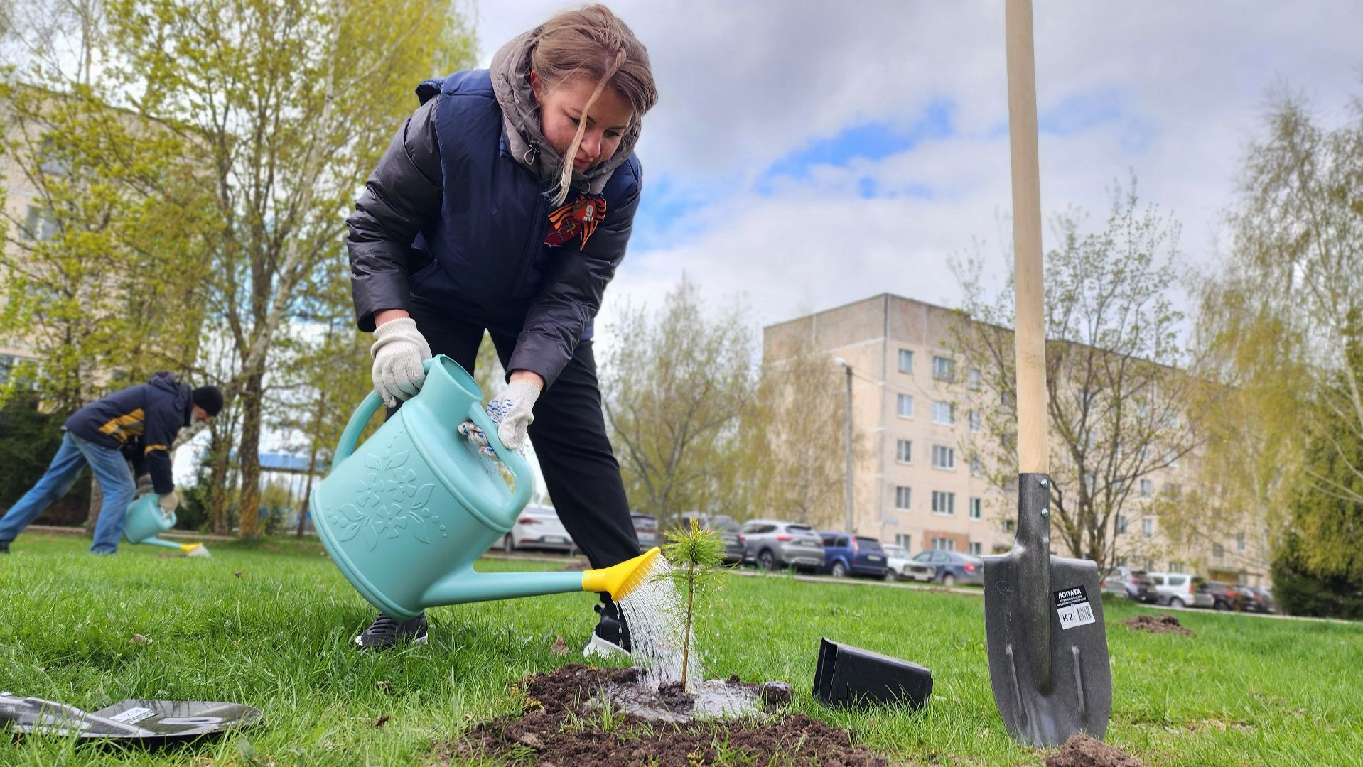 Руза, Посадка кедров, колюбакино,  сквер солнышко, всероссийский субботник,