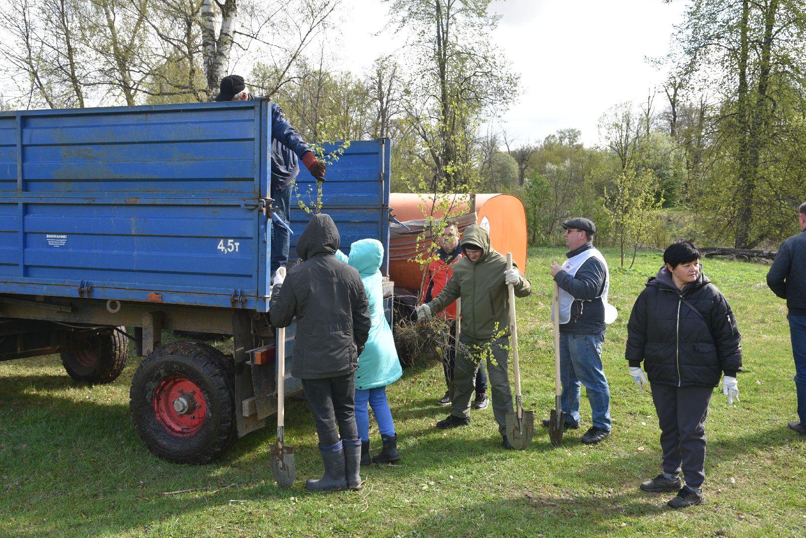 лотошино, дубки, сад памяти, посадка деревьев,