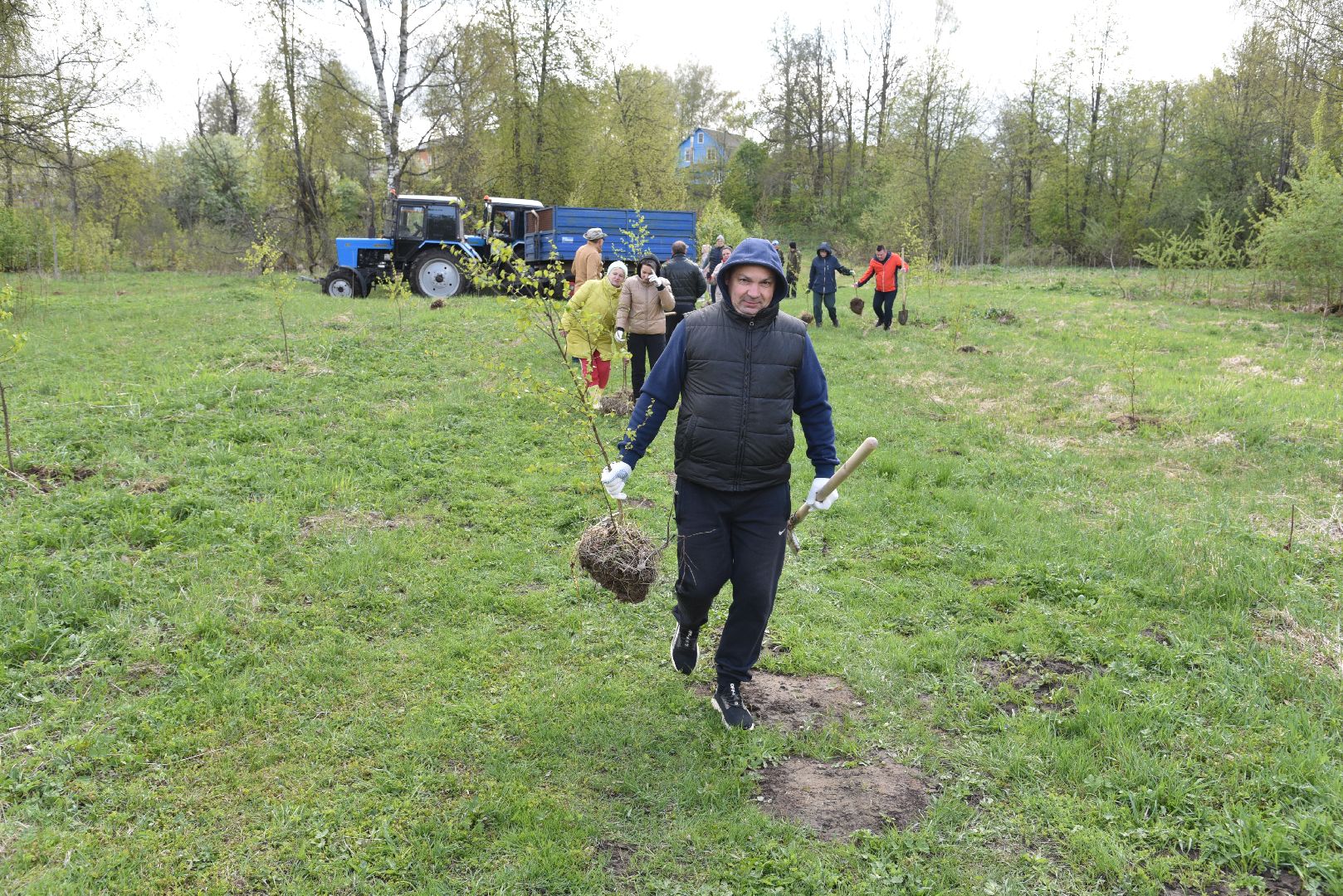 лотошино, дубки, сад памяти, посадка деревьев,
