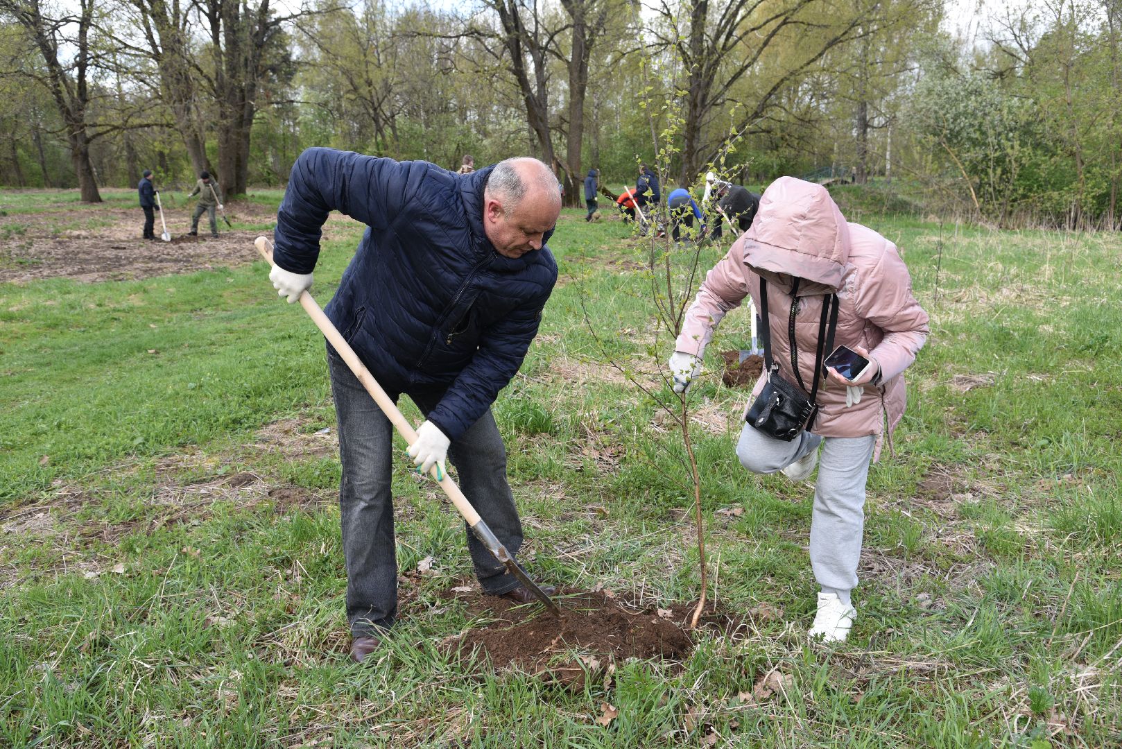 лотошино, дубки, сад памяти, посадка деревьев,